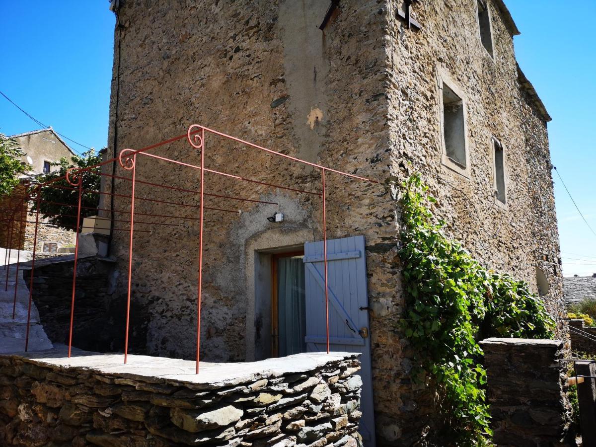 Maison De Village A 2 Km De La Mer Sisco Cap Corse 15 Kms Bastia Exterior photo