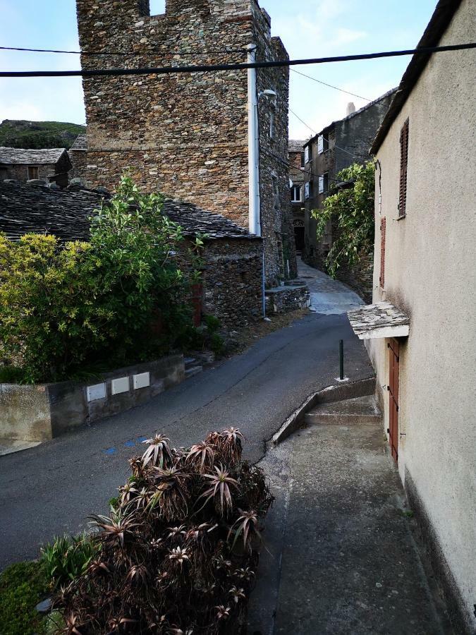 Maison De Village A 2 Km De La Mer Sisco Cap Corse 15 Kms Bastia Exterior photo